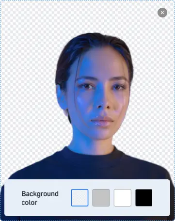 Photogov, options for replacing the background of an image
